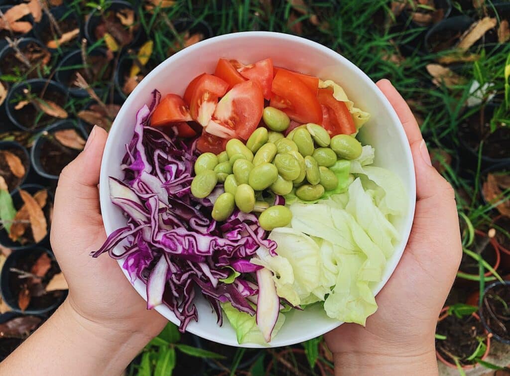 Dieta dla miłośnika fitnessu lekkie posiłki idealne po wizycie na siłowni